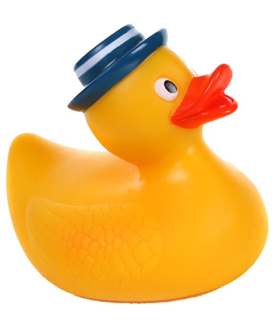 Floating Duck Toy