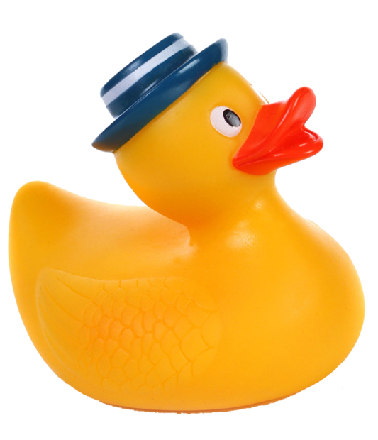 Floating Duck Toy